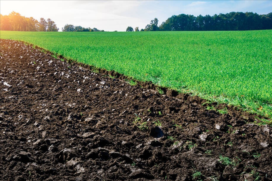 宅基地所有权是什么意思（宅基地所有权和使用权）