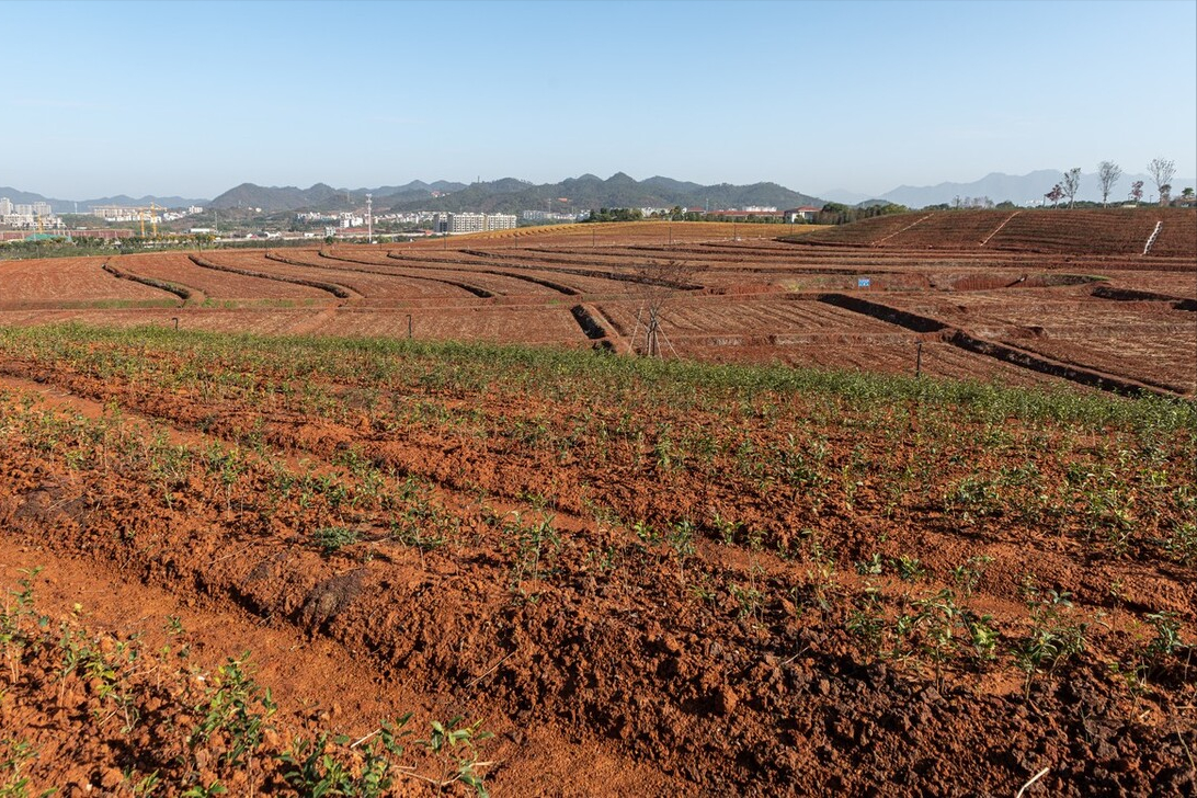 宅基地所有权是什么意思（宅基地所有权和使用权）