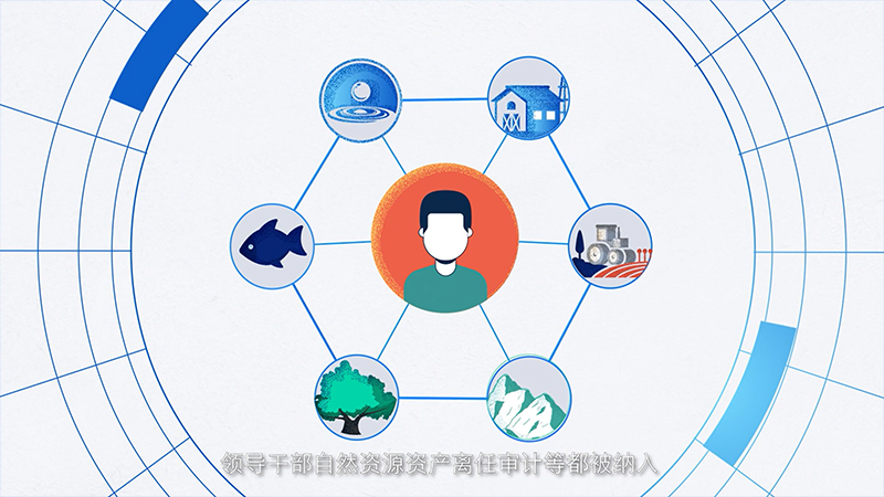 新审计法全文内容是什么（审计法实施细则全文）