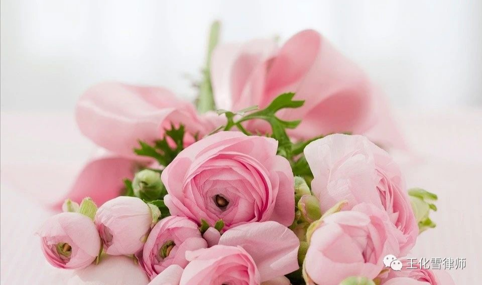 起诉离婚的流程和材料（女方离婚起诉书完整版）