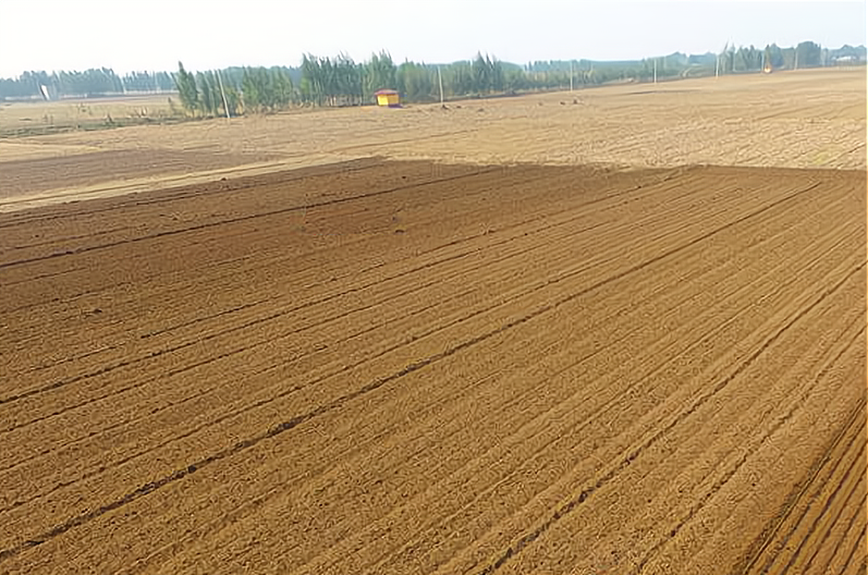 土地承包期限多久（国有土地租赁期限）