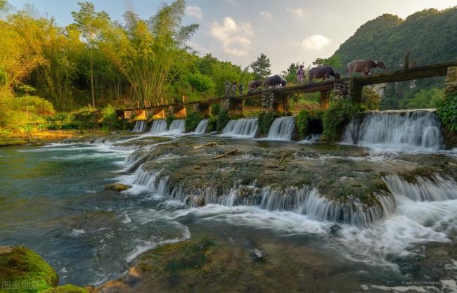 食品安全问题有哪些（食品安全问题赔偿标准）