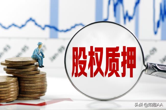 股权质押协议书怎么写（个人股份质押合同范本）