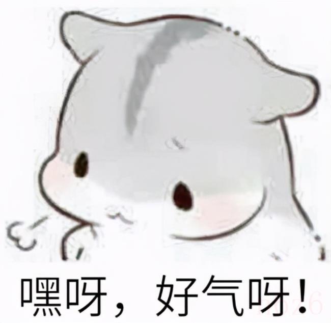 如何退保怎么退（自己退保流程）