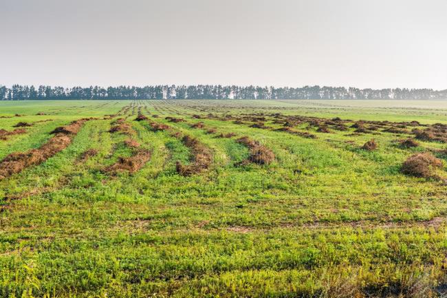 土地使用税是什么（2022年土地使用税开征标准）
