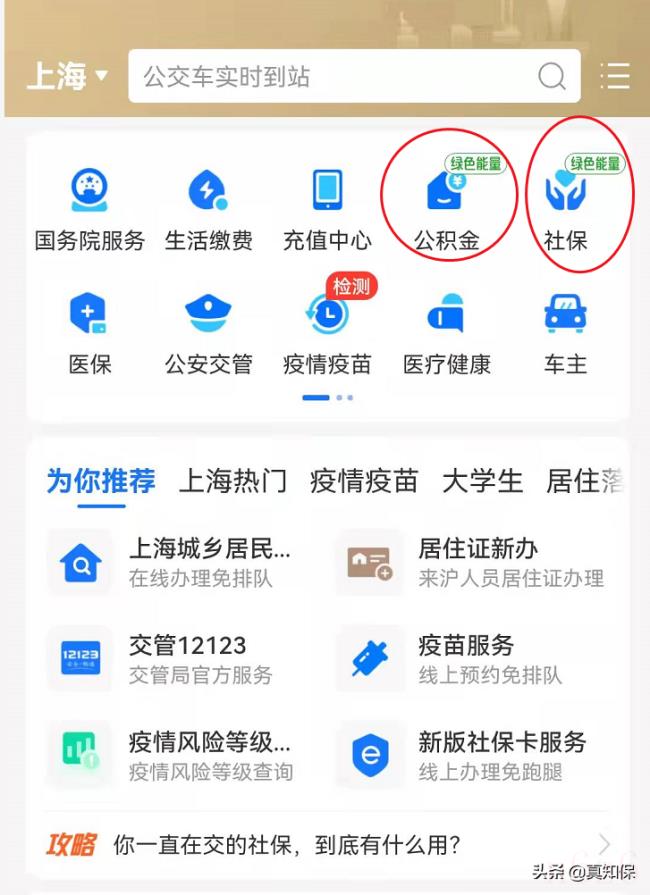 个人养老保险金怎么查询（个人养老保险缴费年限查询）