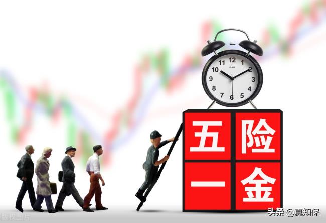 个人养老保险金怎么查询（个人养老保险缴费年限查询）