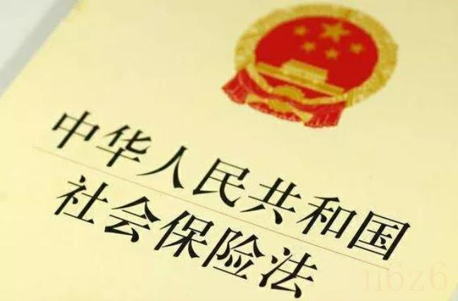 关于社会保险法解读（中华人民共和国社会保险法释义）