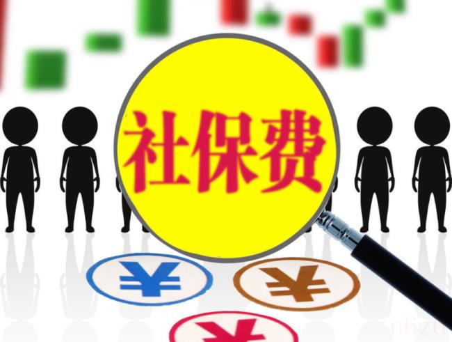 社保怎么缴费（社保缴费步骤）