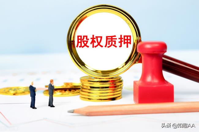 股权质押协议书怎么写（个人股份质押合同范本）