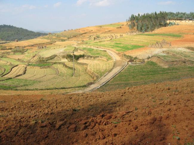 土地使用权到期了怎么办（国有土地证到期最新政策）