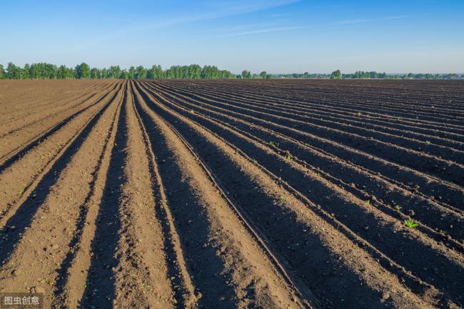 土地属于什么资产（关于土地资产司法解释）