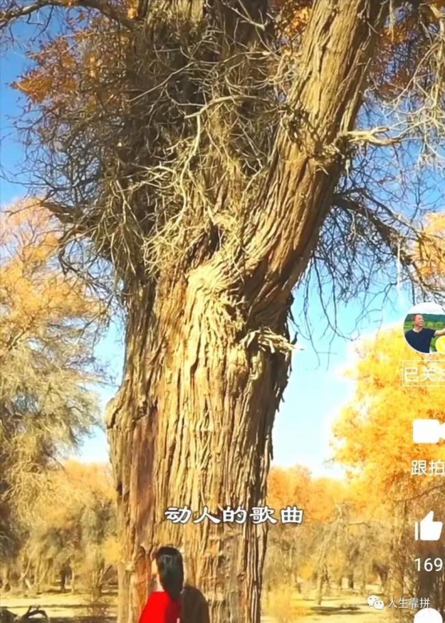 合同无效的后果是什么（民法典关于合同无效的规定）