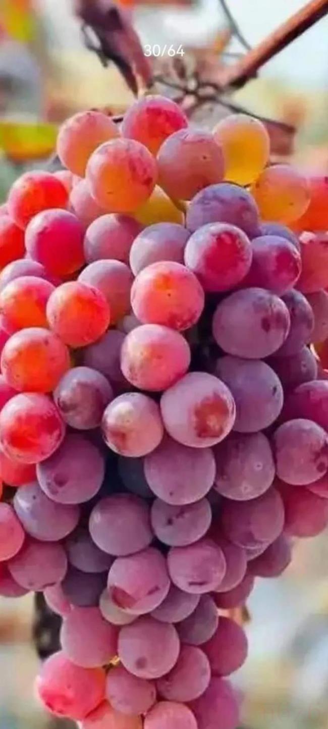 合同无效的后果是什么（民法典关于合同无效的规定）