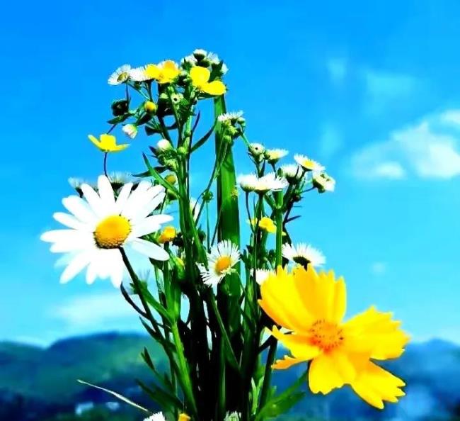 合同无效的后果是什么（民法典关于合同无效的规定）