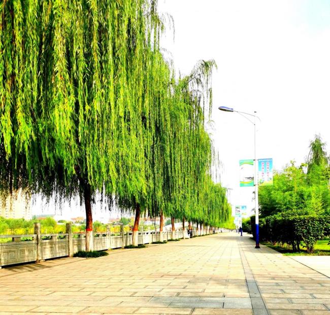 合同无效的后果是什么（民法典关于合同无效的规定）