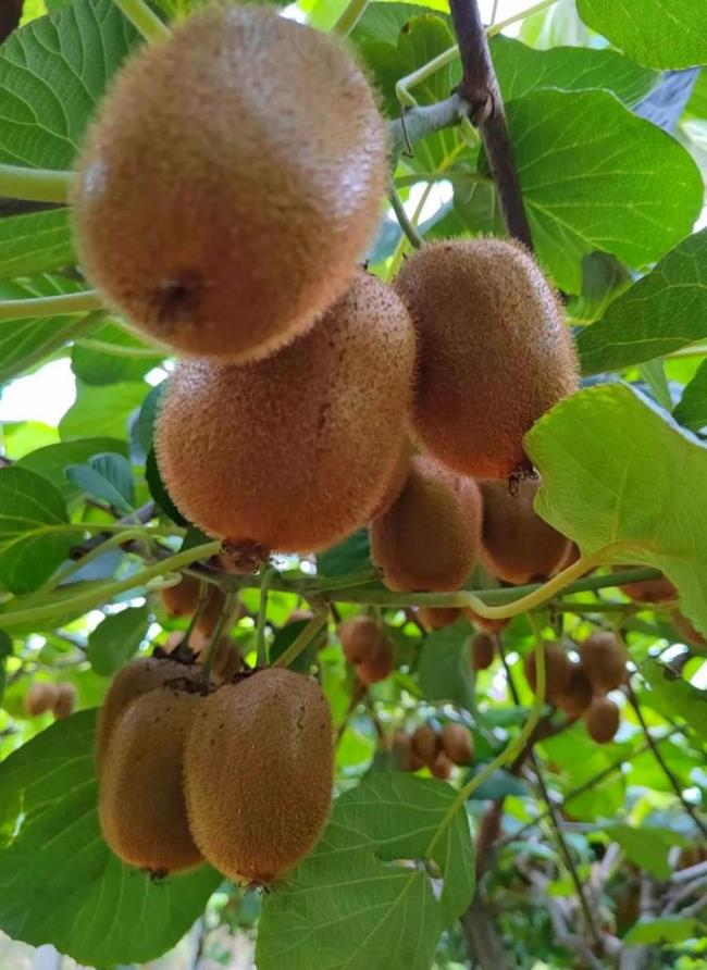 合同无效的后果是什么（民法典关于合同无效的规定）