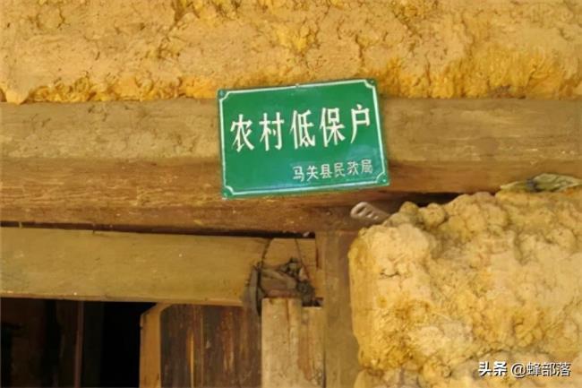 关于低保政策是什么（国家低保最新政策）