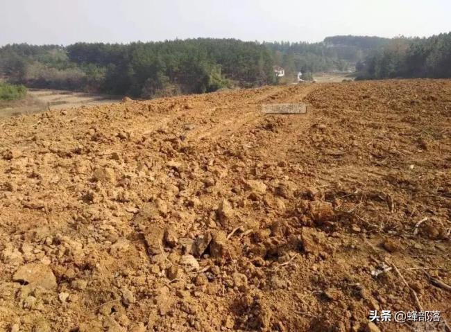 宅基地退出怎么补偿（宅基地自愿退出补偿标准）