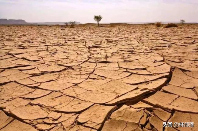 宅基地退出怎么补偿（宅基地自愿退出补偿标准）