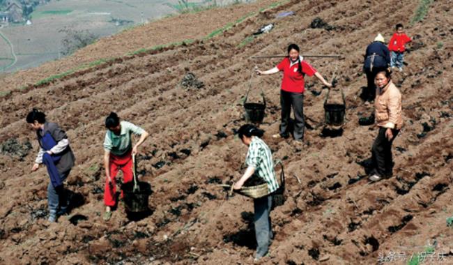 确权的土地可以继承吗（争议土地确权法律法规）