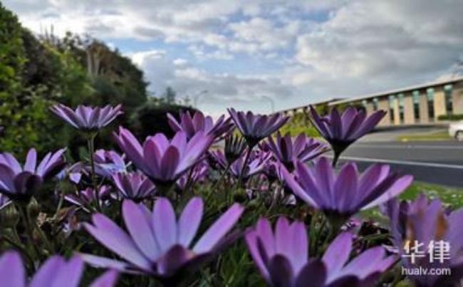 你好合同老师年龄多大退休_年龄