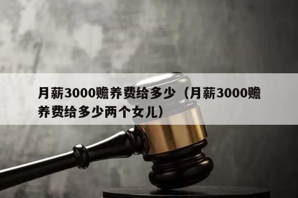月薪3000赡养费给多少（月薪3000赡养费给多少两个女儿）