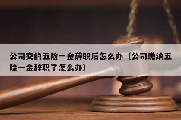 公司交的五险一金辞职后怎么办（公司缴纳五险一金辞职了怎么办）