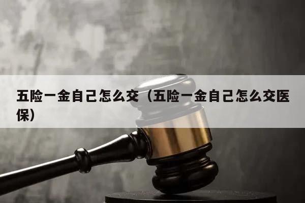 五险一金自己怎么交（五险一金自己怎么交医保）