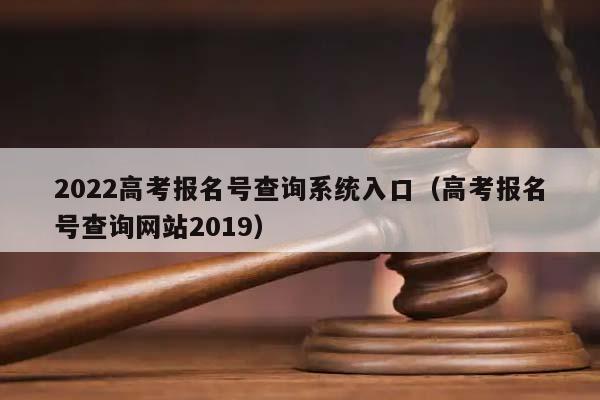 2022高考报名号查询系统入口(高考报名号查询网站2019)