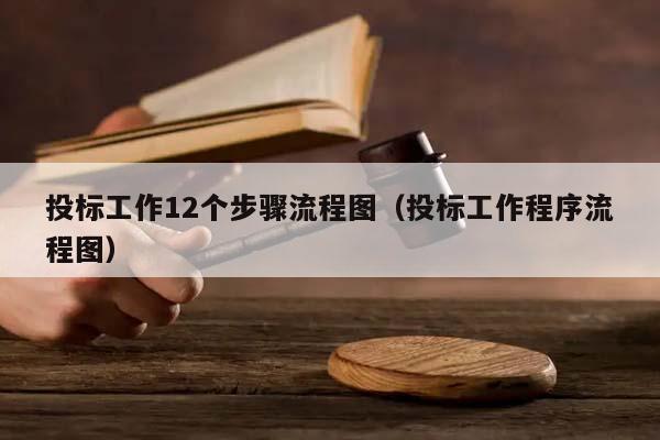 投标工作12个步骤流程图（投标工作程序流程图）