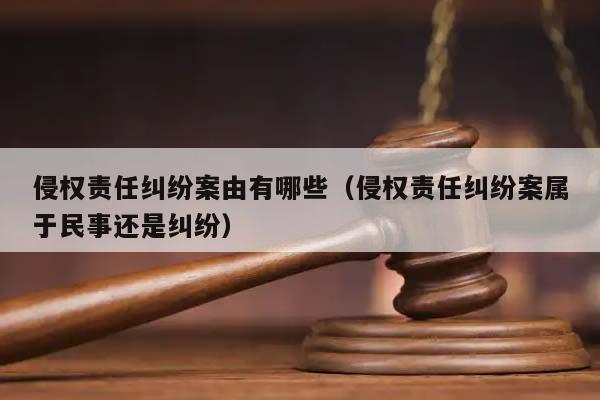 侵权责任纠纷案由有哪些（侵权责任纠纷案属于民事还是纠纷）