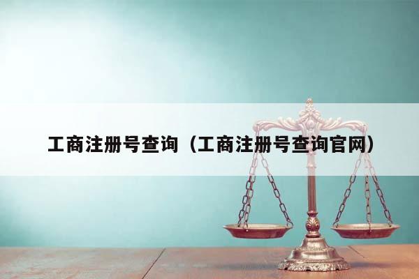 工商注册号查询（工商注册号查询官网）