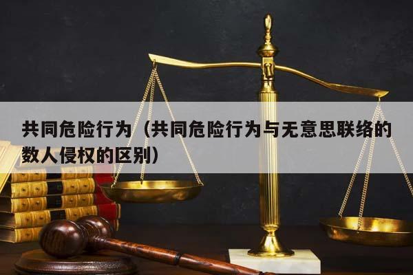 共同危险行为（共同危险行为与无意思联络的数人侵权的区别）