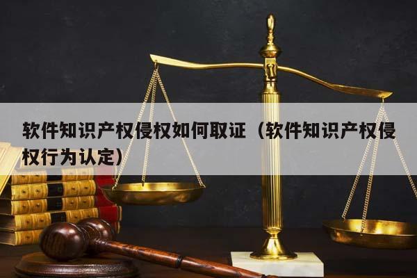 软件知识产权侵权如何取证（软件知识产权侵权行为认定）