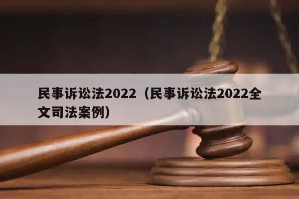 民事诉讼法2022(民事诉讼法2022全文司法案例)