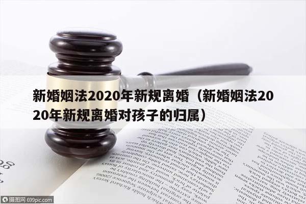 新婚姻法2020年新规离婚（新婚姻法2020年新规离婚对孩子的归属）