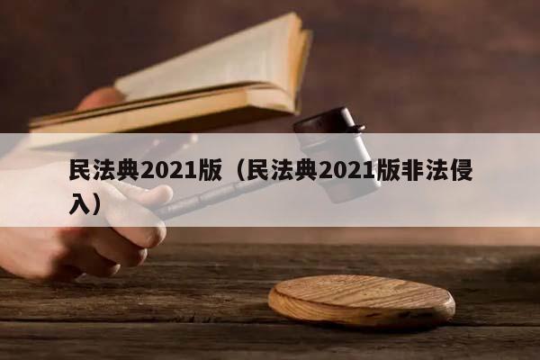 民法典2021版（民法典2021版非法侵入）