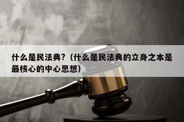 什么是民法典?（什么是民法典的立身之本是最核心的中心思想）