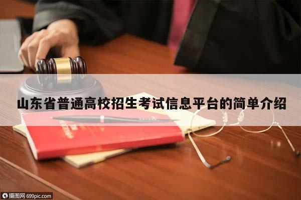 山东省普通高校招生考试信息平台的简单介绍