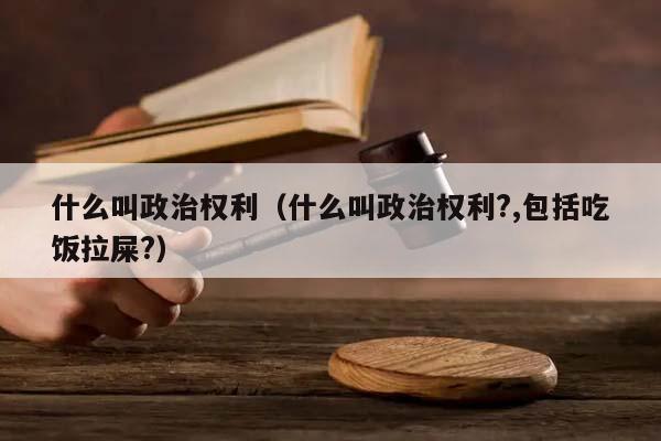 什么叫政治权利（什么叫政治权利?,包括吃饭拉屎?）