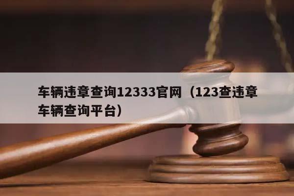 车辆违章查询12333官网（123查违章车辆查询平台）