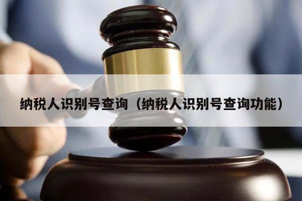 纳税人识别号查询（纳税人识别号查询功能）