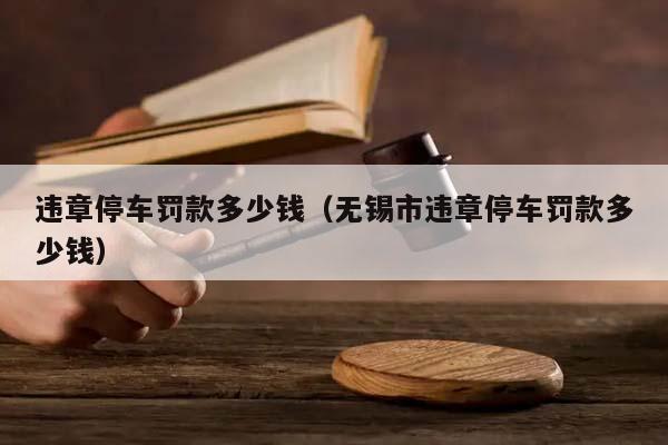 违章停车罚款多少钱（无锡市违章停车罚款多少钱）