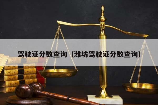 驾驶证分数查询（潍坊驾驶证分数查询）