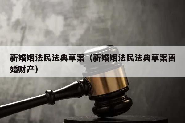 新婚姻法民法典草案（新婚姻法民法典草案离婚财产）