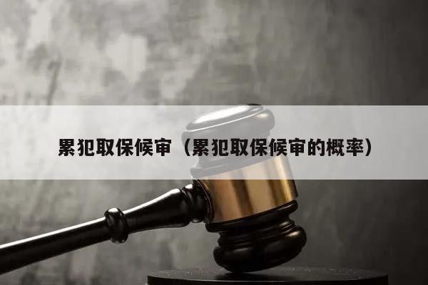 累犯取保候审（累犯取保候审的概率）