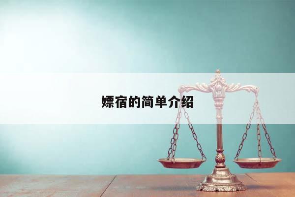 嫖宿的简单介绍
