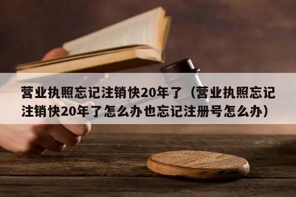 营业执照忘记注销快20年了(营业执照忘记注销快20年了怎么办也忘记注册号怎么办)
