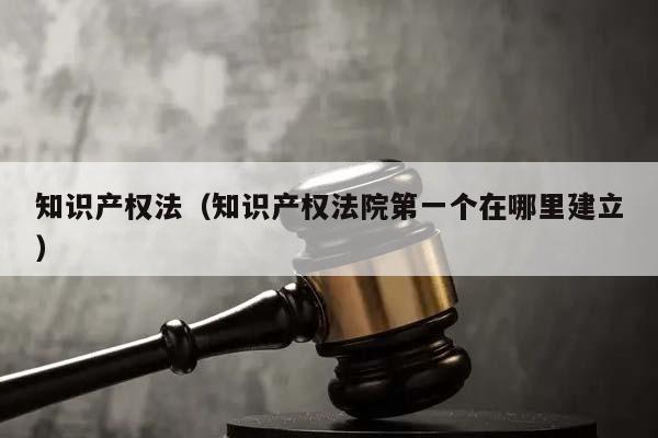 知识产权法（知识产权法院第一个在哪里建立）